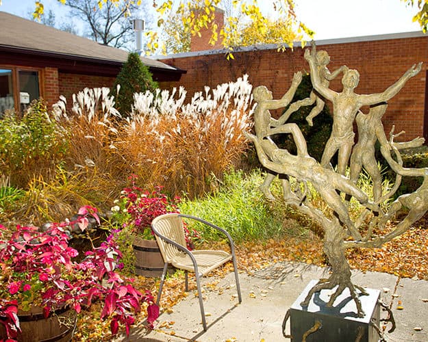 We have a beautiful sitting area with mature trees, flowers, and bird feeders for patients and families to enjoy.